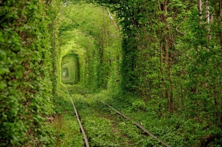 Tunnel-of-Love-5