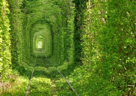 Tunnel-of-Love-6