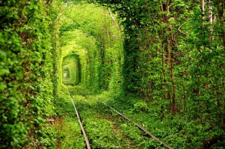Tunnel-of-Love-7
