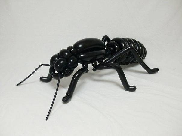 Animals-Balloon-Sculpting-4