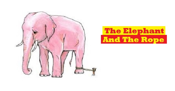The elephant is mine. Elephant and a Rope story. The story about Elephant and a Rope. Elephant Rope текст.