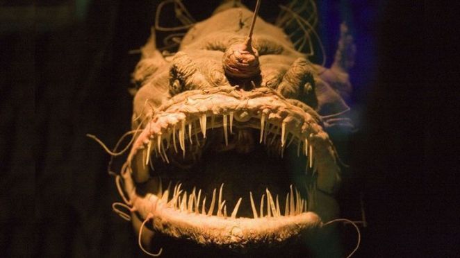 Deep-Sea-Creatures-Humpback-Anglerfish