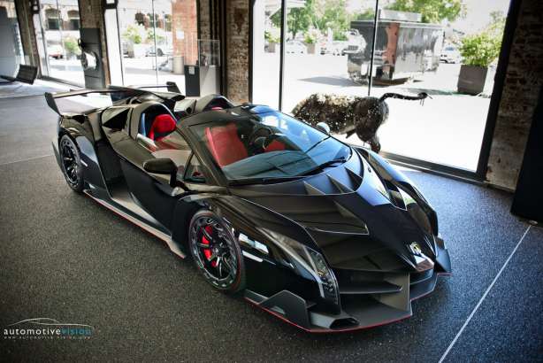 Most-Expensive-Cars-Lamborghini-Veneno-Roadster-3