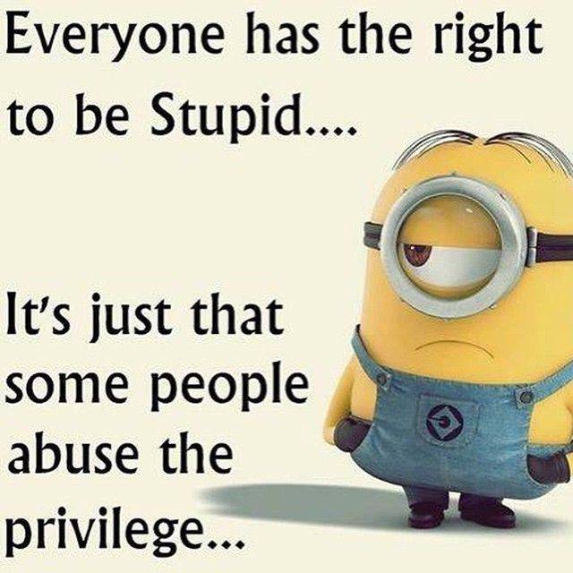 Image result for stupidity quote images