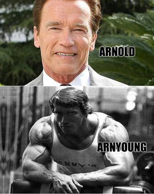 Celebrity-Name-Puns-Arnold