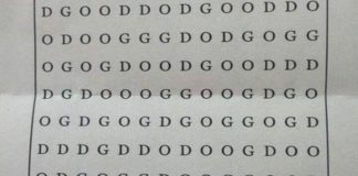 Find the Word Dog