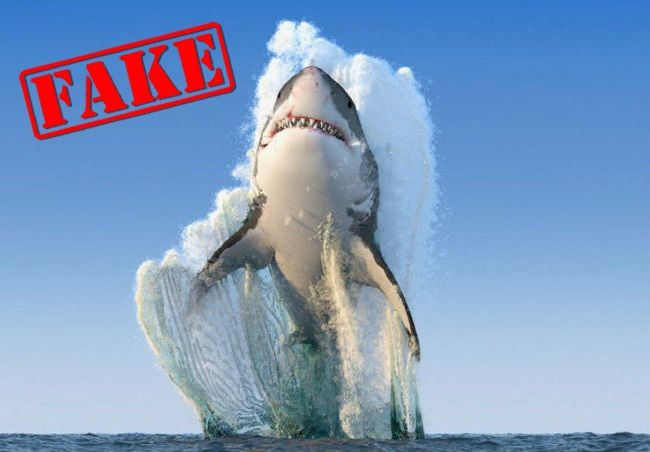 10 Famous Photographs That Went Viral But Are Actually Fake